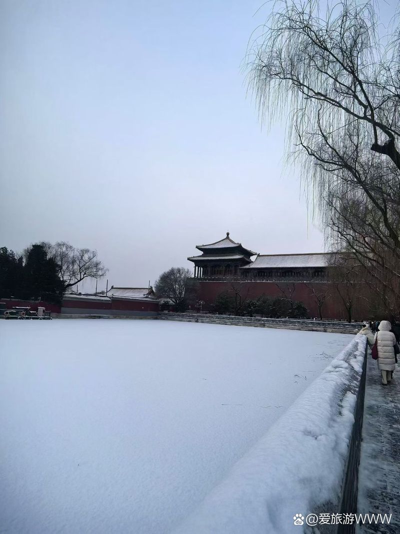 哪些品牌或場所有信譽保證，北京信譽保證的品牌和場所是否值得信賴的重要標準 哪些品牌或場所有信譽保證，北京信譽保證的品牌和場所是否值得信賴的重要標準 龍魚百科 第2張