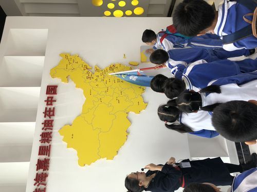 金龍魚基地有哪些參觀路線，金龍魚基地有哪些互動體驗項目