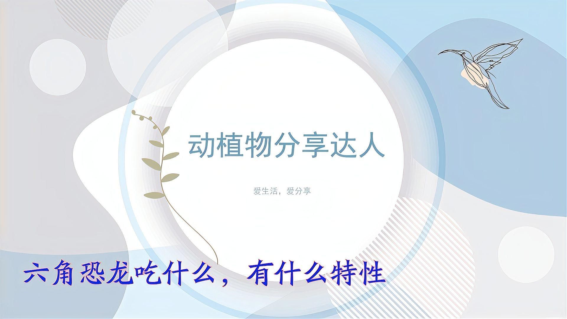六角龍可以吃什么食物，六角恐龍的食物種類 六角龍可以吃什么食物，六角恐龍的食物種類 龍魚百科 第3張