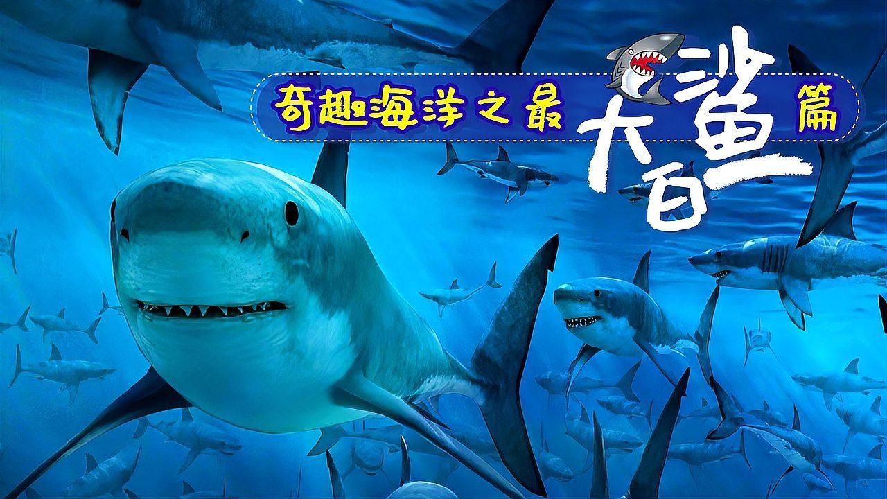 大白鯊魚，奇趣海洋之最-大白鯊篇 大白鯊魚，奇趣海洋之最-大白鯊篇 龍魚百科 第2張