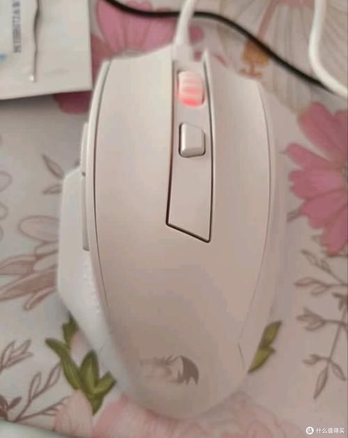紅龍品牌有哪些主要產品