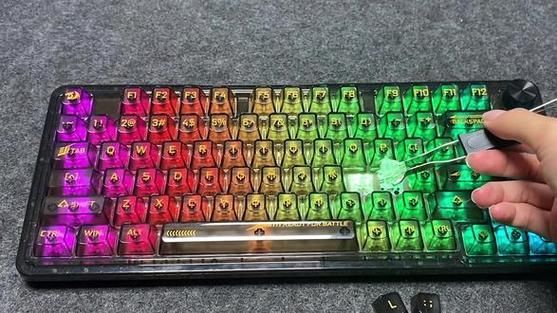 紅龍品牌有哪些主要產品