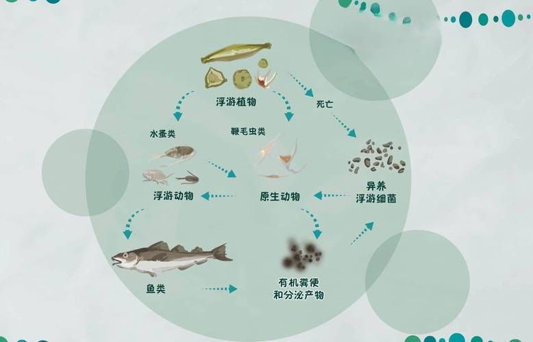 哪些因素會影響魚的品質，影響魚品質的因素