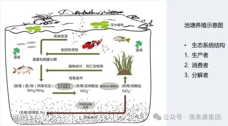 哪些因素會影響魚的品質，影響魚品質的因素