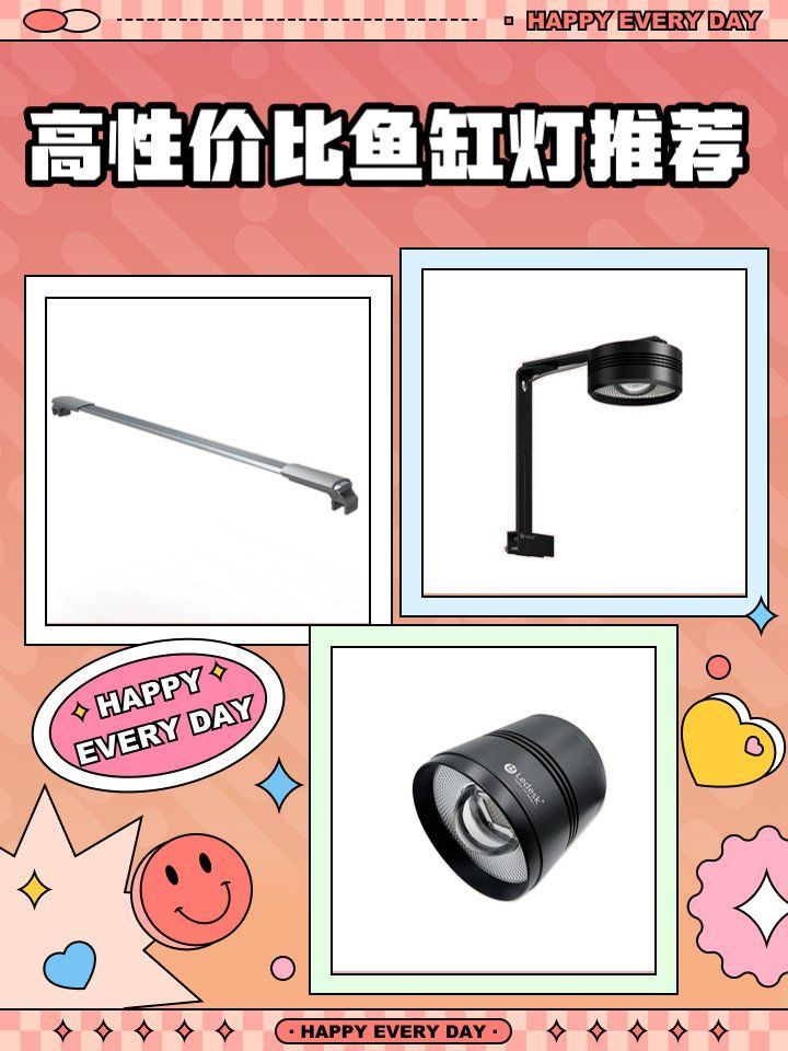 有哪些性價比高的龍魚燈品牌推薦，性價比高的龍魚燈品牌推薦 有哪些性價比高的龍魚燈品牌推薦，性價比高的龍魚燈品牌推薦 龍魚百科 第13張