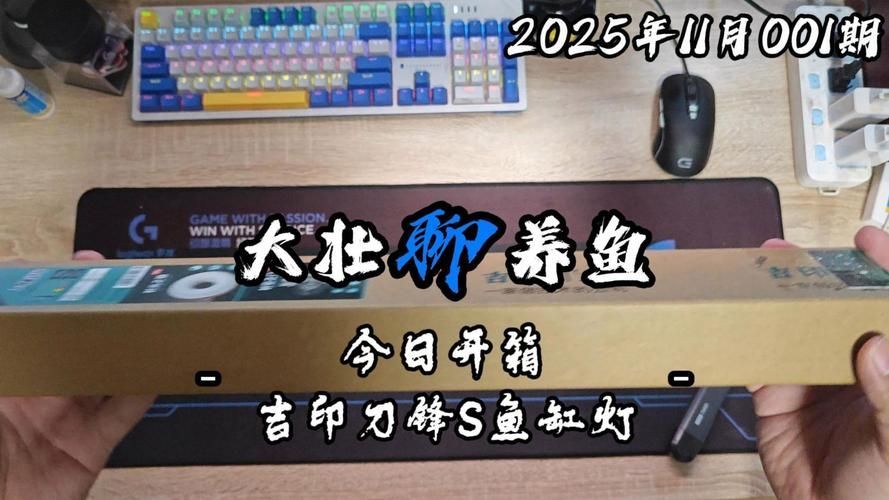 有哪些性價比高的龍魚燈品牌推薦，性價比高的龍魚燈品牌推薦 有哪些性價比高的龍魚燈品牌推薦，性價比高的龍魚燈品牌推薦 龍魚百科 第11張