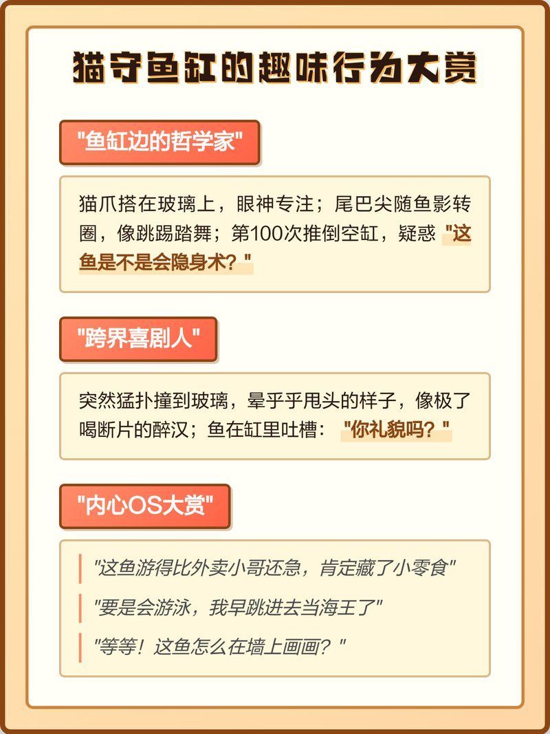 貓對魚缸有哪些常見行為，貓咪與魚缸共處安全指南