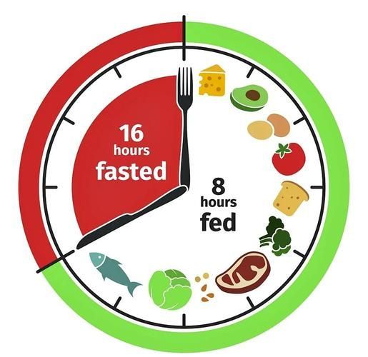 停食期間需要做什么,停食期間的科學操作指南 龍魚百科 第5張 停食期間需要做什么,停食期間的科學操作指南 停食期間需要做什么,停食期間的科學操作指南 龍魚百科 第5張