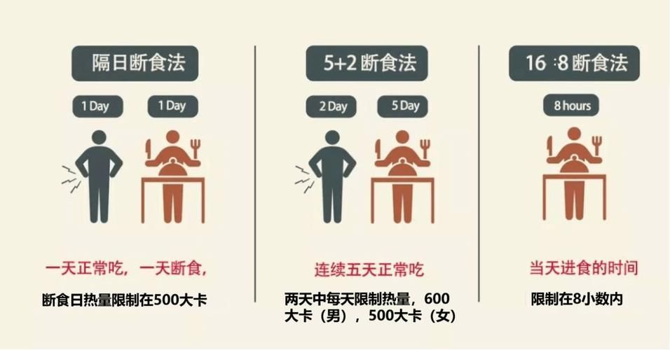 停食期間需要做什么,停食期間的科學操作指南 龍魚百科 第1張 停食期間需要做什么,停食期間的科學操作指南 停食期間需要做什么,停食期間的科學操作指南 龍魚百科 第1張