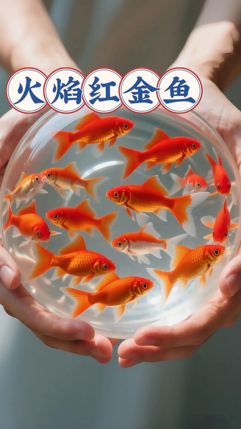 從祥龍魚場(chǎng)購(gòu)買金龍魚有哪些注意事項(xiàng)？，從祥龍魚場(chǎng)購(gòu)買金龍魚的核心技術(shù) 從祥龍魚場(chǎng)購(gòu)買金龍魚有哪些注意事項(xiàng)？，從祥龍魚場(chǎng)購(gòu)買金龍魚的核心技術(shù) 龍魚百科 第1張