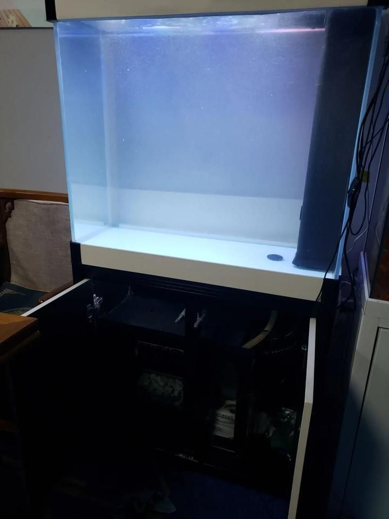 彩鰈品牌哪個型號最好?,專業水族箱彩鰈(cade) 龍魚百科 第5張 彩鰈品牌哪個型號最好?,專業水族箱彩鰈(cade) 彩鰈品牌哪個型號最好?,專業水族箱彩鰈(cade) 龍魚百科 第5張