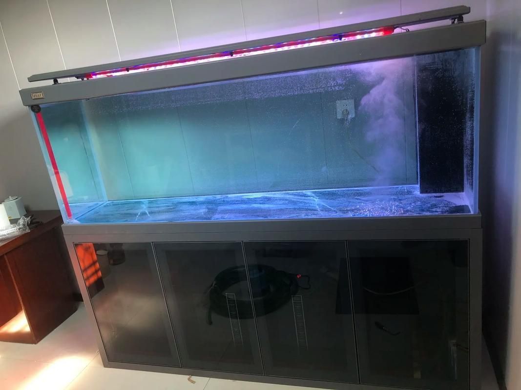 祥龍魚場(chǎng)有哪些推薦的龍魚缸？，“祥龍三號(hào)”龍魚缸推薦，祥龍魚缸價(jià)格范圍是多少 祥龍魚場(chǎng)有哪些推薦的龍魚缸？，“祥龍三號(hào)”龍魚缸推薦，祥龍魚缸價(jià)格范圍是多少 龍魚百科 第5張