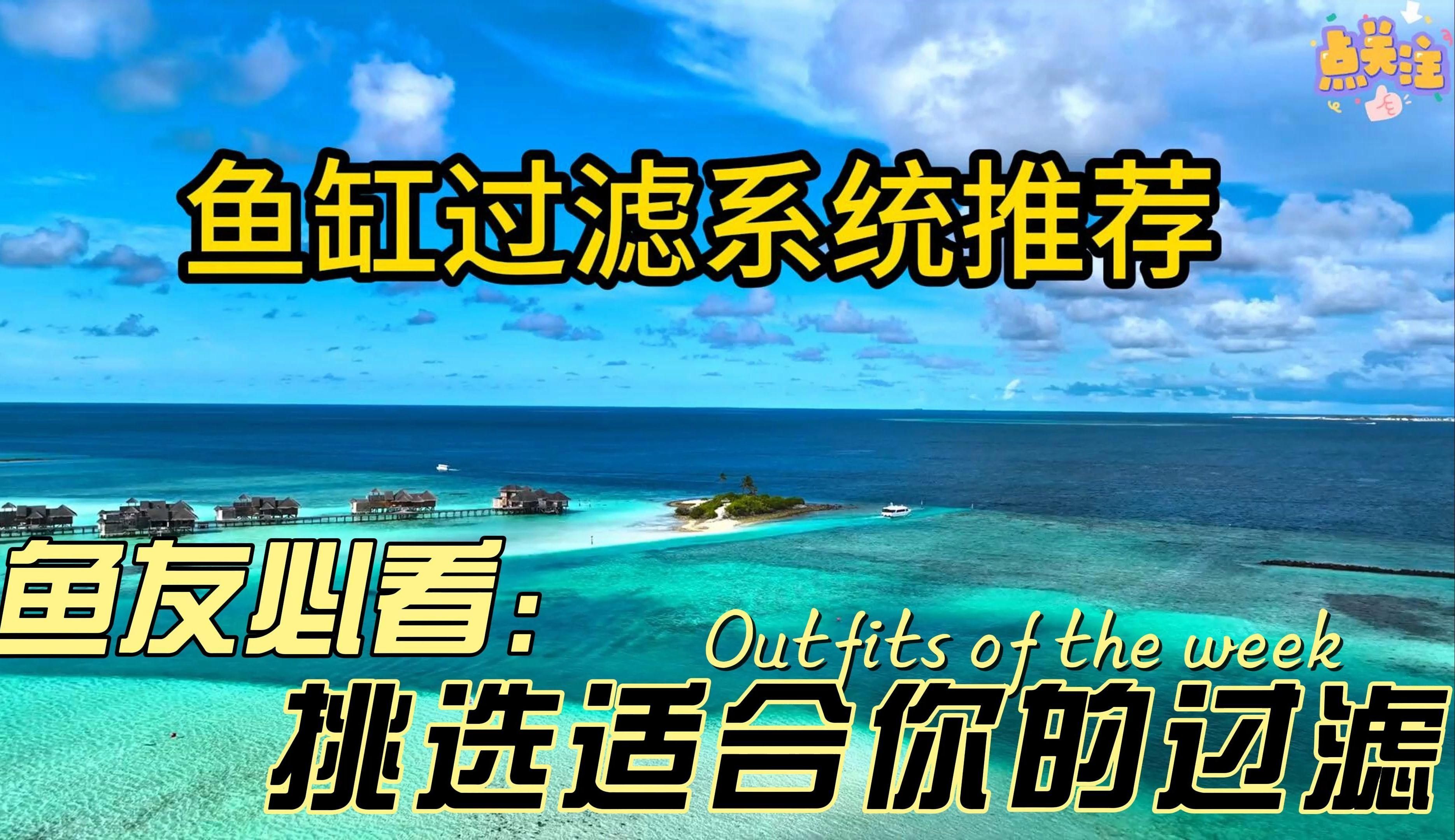 水族箱過濾系統有哪些類型，水族箱過濾系統