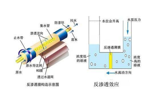 改善水質(zhì)有哪些具體方法,混凝-沉淀—過濾—過濾—過濾-消毒 龍魚百科 第9張 改善水質(zhì)有哪些具體方法,混凝-沉淀—過濾—過濾—過濾-消毒 改善水質(zhì)有哪些具體方法,混凝-沉淀—過濾—過濾—過濾-消毒 龍魚百科 第9張