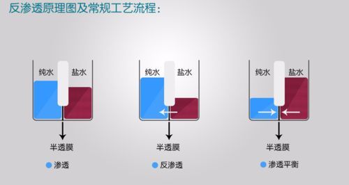 改善水質(zhì)有哪些具體方法,混凝-沉淀—過濾—過濾—過濾-消毒 龍魚百科 第6張 改善水質(zhì)有哪些具體方法,混凝-沉淀—過濾—過濾—過濾-消毒 改善水質(zhì)有哪些具體方法,混凝-沉淀—過濾—過濾—過濾-消毒 龍魚百科 第6張