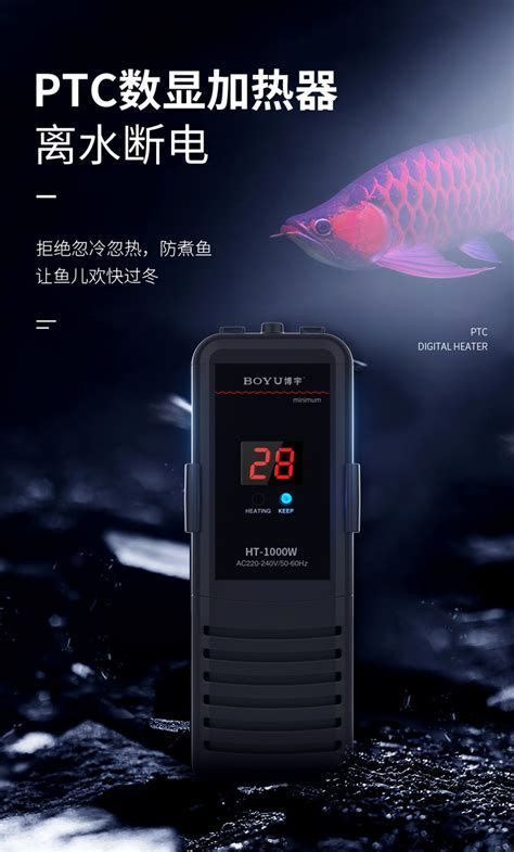 龍魚31度需要多久降溫一次，31℃需要多久降溫一次 龍魚31度需要多久降溫一次，31℃需要多久降溫一次 龍魚百科 第3張