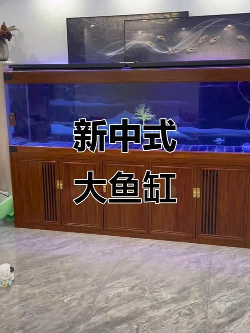 十大龍魚魚缸品牌推薦，十大龍魚缸品牌推薦 十大龍魚魚缸品牌推薦，十大龍魚缸品牌推薦 龍魚百科 第10張