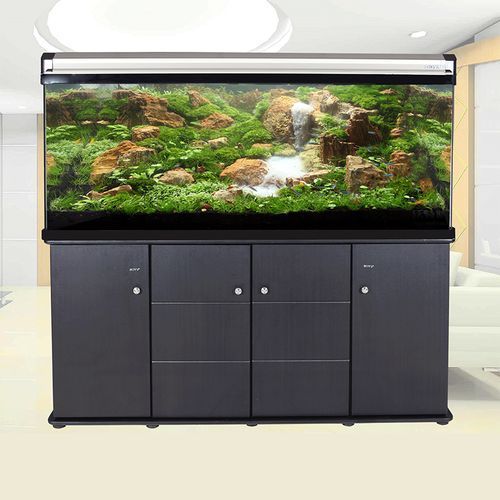 十大龍魚魚缸品牌推薦，十大龍魚缸品牌推薦 十大龍魚魚缸品牌推薦，十大龍魚缸品牌推薦 龍魚百科 第13張