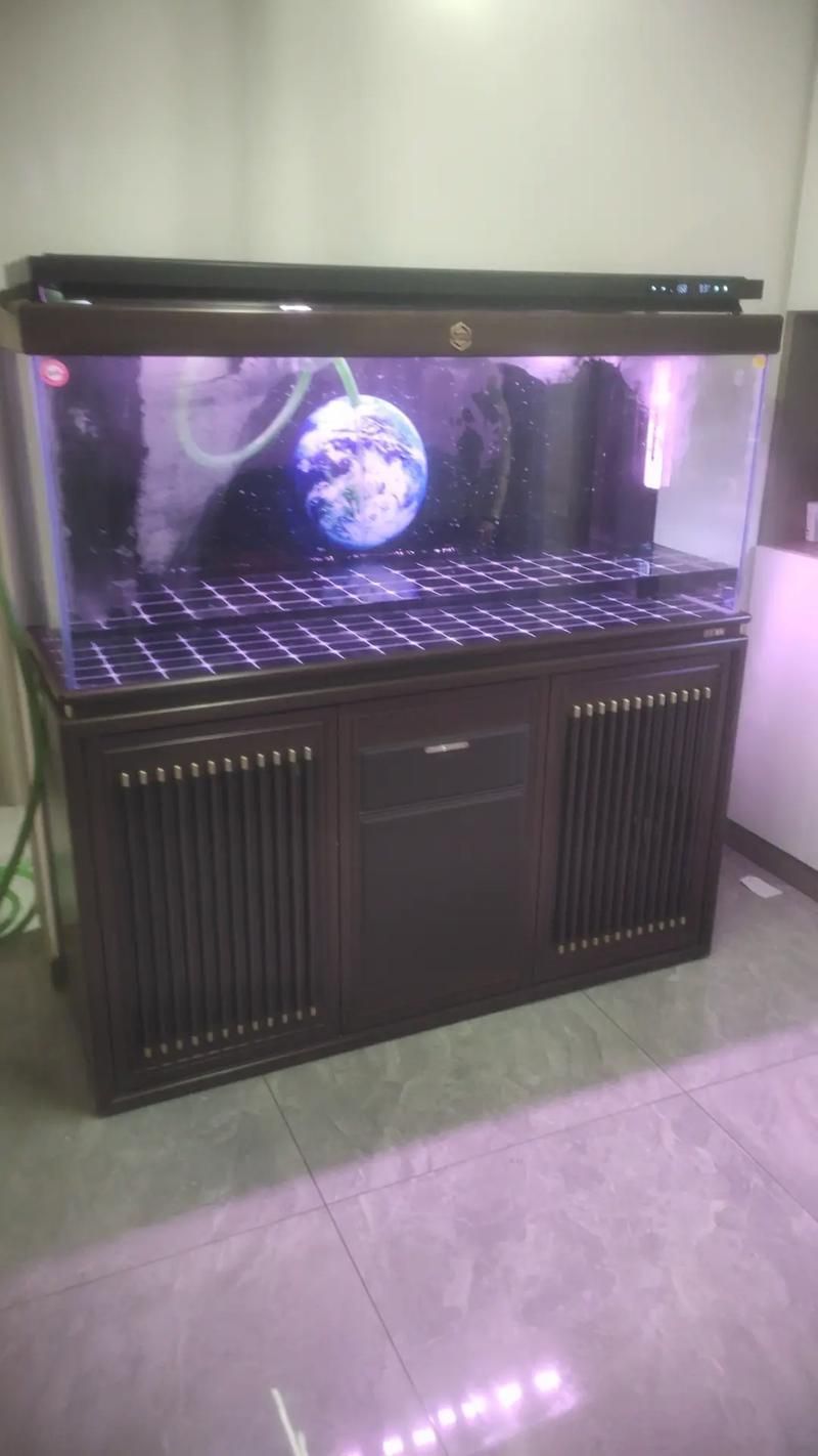 十大龍魚魚缸品牌推薦，十大龍魚缸品牌推薦 十大龍魚魚缸品牌推薦，十大龍魚缸品牌推薦 龍魚百科 第2張