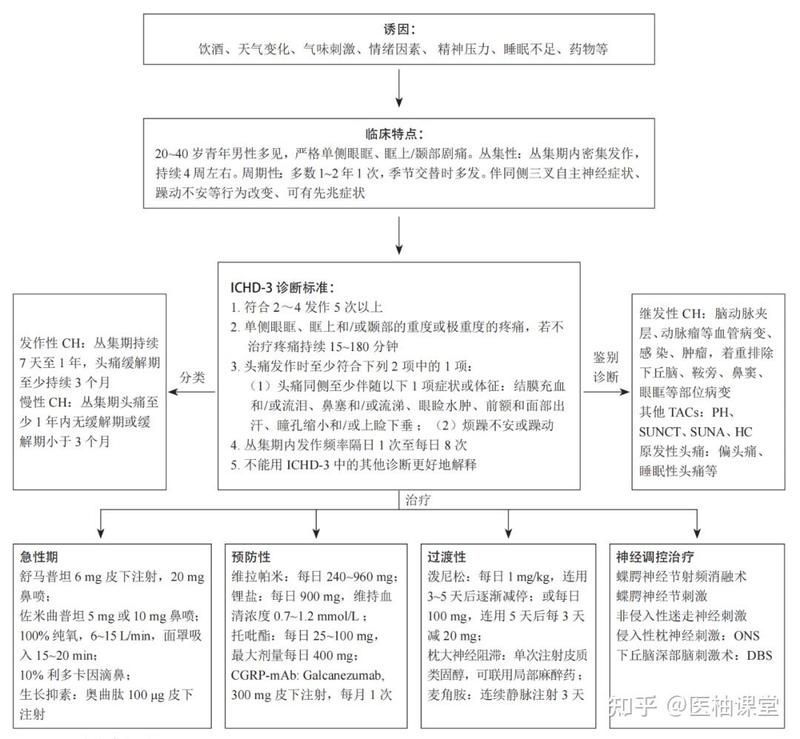 能否提供更詳細的診斷步驟，臨床診斷流程