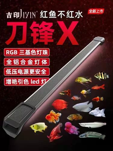 如何選擇適合紅龍的燈光品牌，紅龍魚發色燈推薦