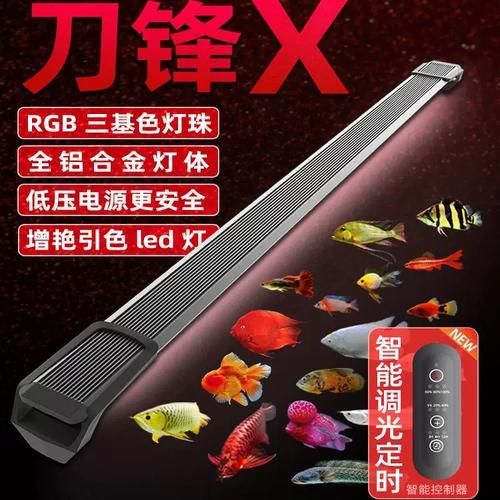 如何選擇適合紅龍的燈光品牌，紅龍魚發色燈推薦