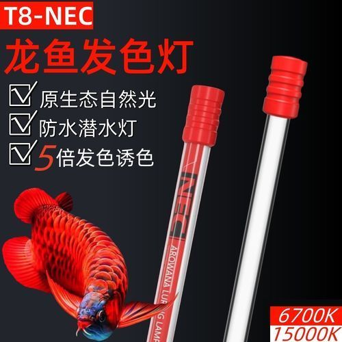 如何選擇適合紅龍的燈光品牌，紅龍魚發色燈推薦