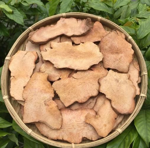 有哪些中草藥可以治療魚腹水,中醫治療“魚腹水”的方法 龍魚百科 第4張 有哪些中草藥可以治療魚腹水,中醫治療“魚腹水”的方法 有哪些中草藥可以治療魚腹水,中醫治療“魚腹水”的方法 龍魚百科 第4張