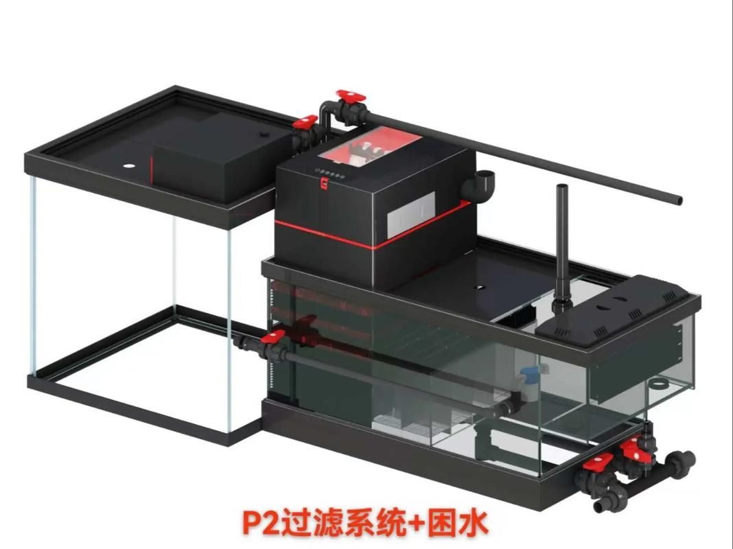 如何選擇適合的彩鰈魚缸型號？，彩鰈魚缸的選型