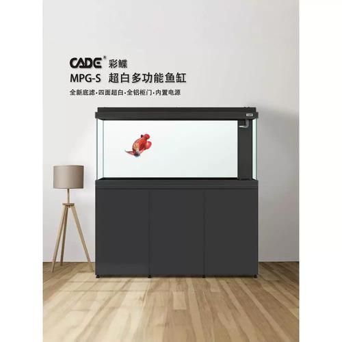 如何選擇適合的彩鰈魚缸型號？，彩鰈魚缸的選型