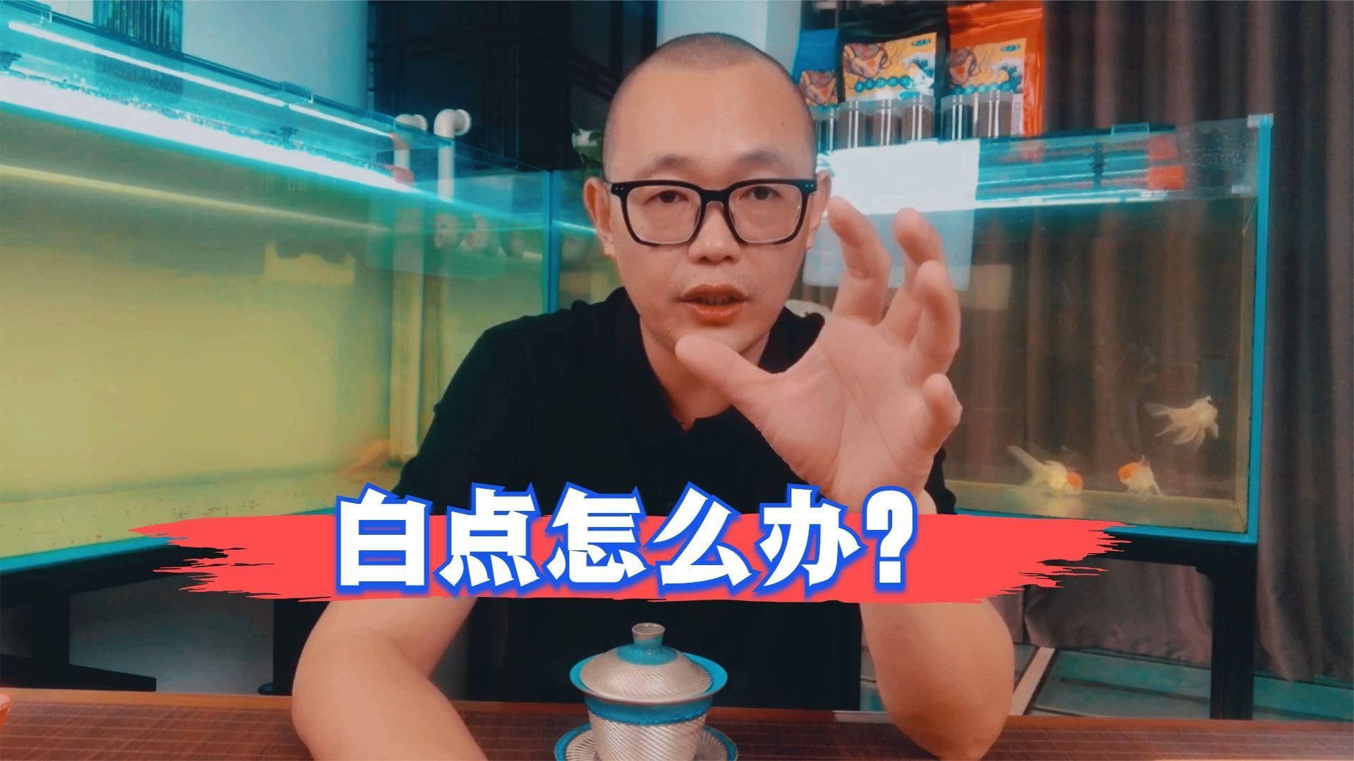 如何預(yù)防魚身上長白點，魚身上長小白點是怎么回事？ 如何預(yù)防魚身上長白點，魚身上長小白點是怎么回事？ 龍魚百科 第2張