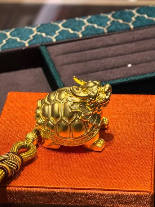 有沒有龍龜的圖片大全，龍龜圖片大全