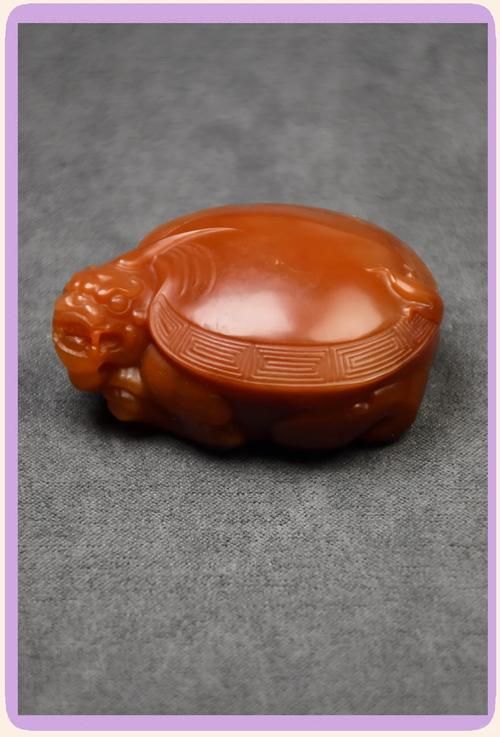 有沒有龍龜的圖片大全，龍龜圖片大全