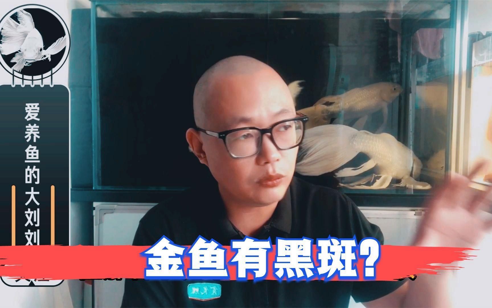 如何判斷金魚(yú)發(fā)黑的原因，紅龍?zhí)魬?zhàn)技巧：魚(yú)發(fā)黑可能是由多種原因引起的，以下是常見(jiàn)的判斷