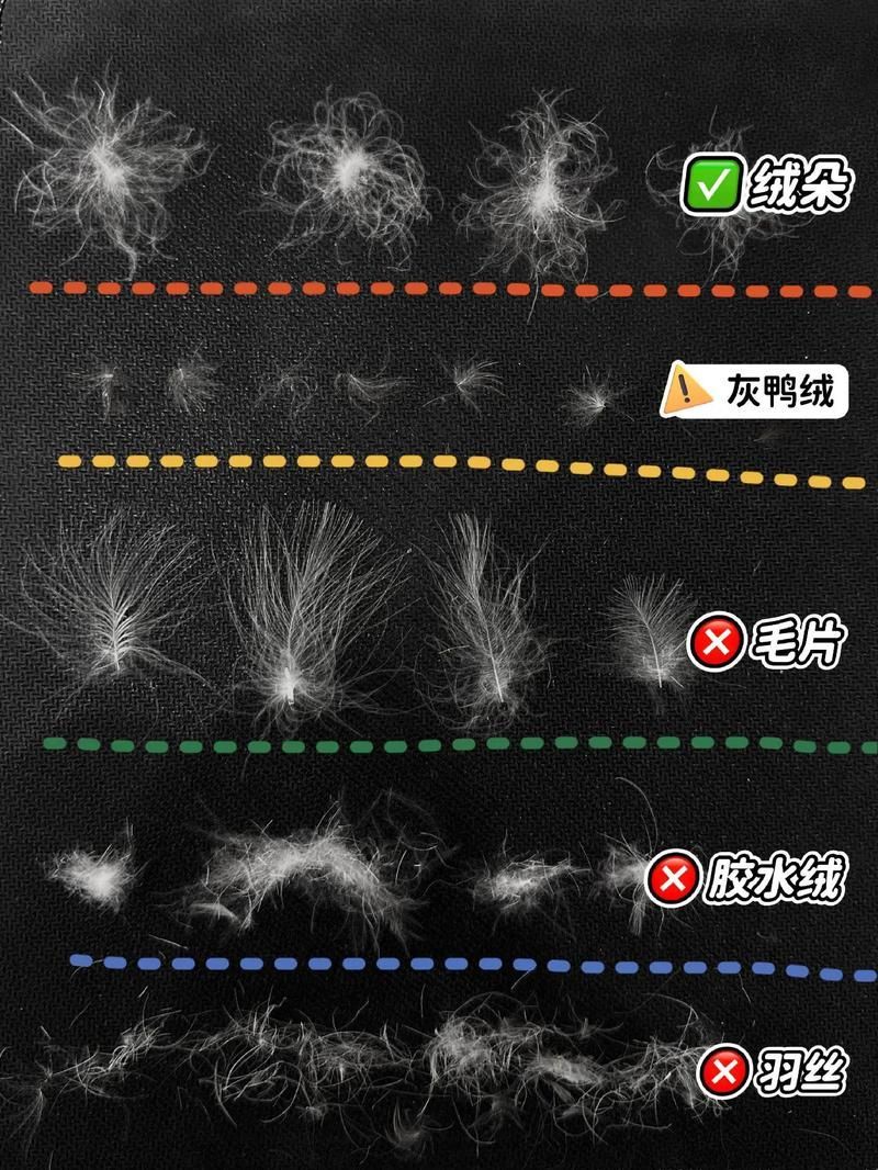 如何判斷一個羽絨服的性價比 如何判斷一個羽絨服的性價比 龍魚百科 第3張