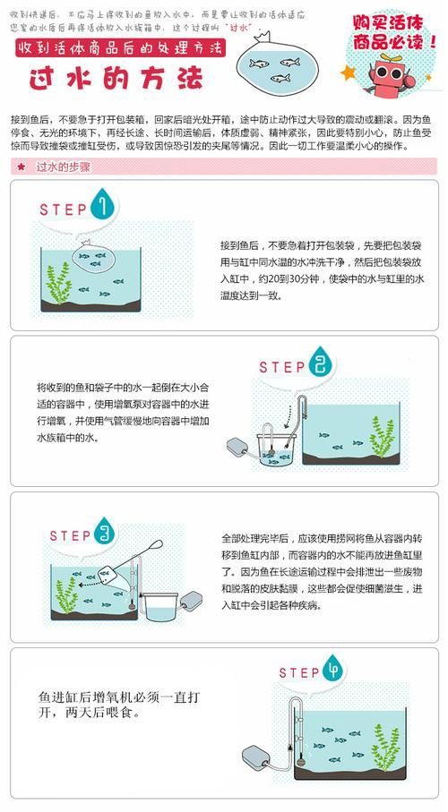 如何改善金魚的健康？，如何科學改善金魚健康 如何改善金魚的健康？，如何科學改善金魚健康 龍魚百科 第6張