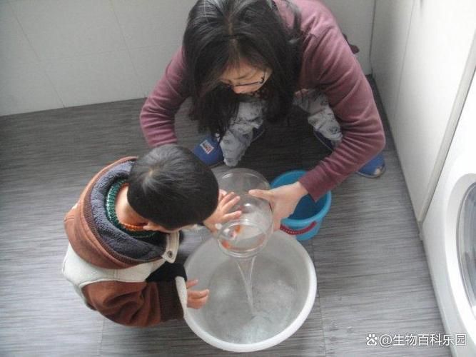 如何改善金魚的健康？，如何科學改善金魚健康 如何改善金魚的健康？，如何科學改善金魚健康 龍魚百科 第3張