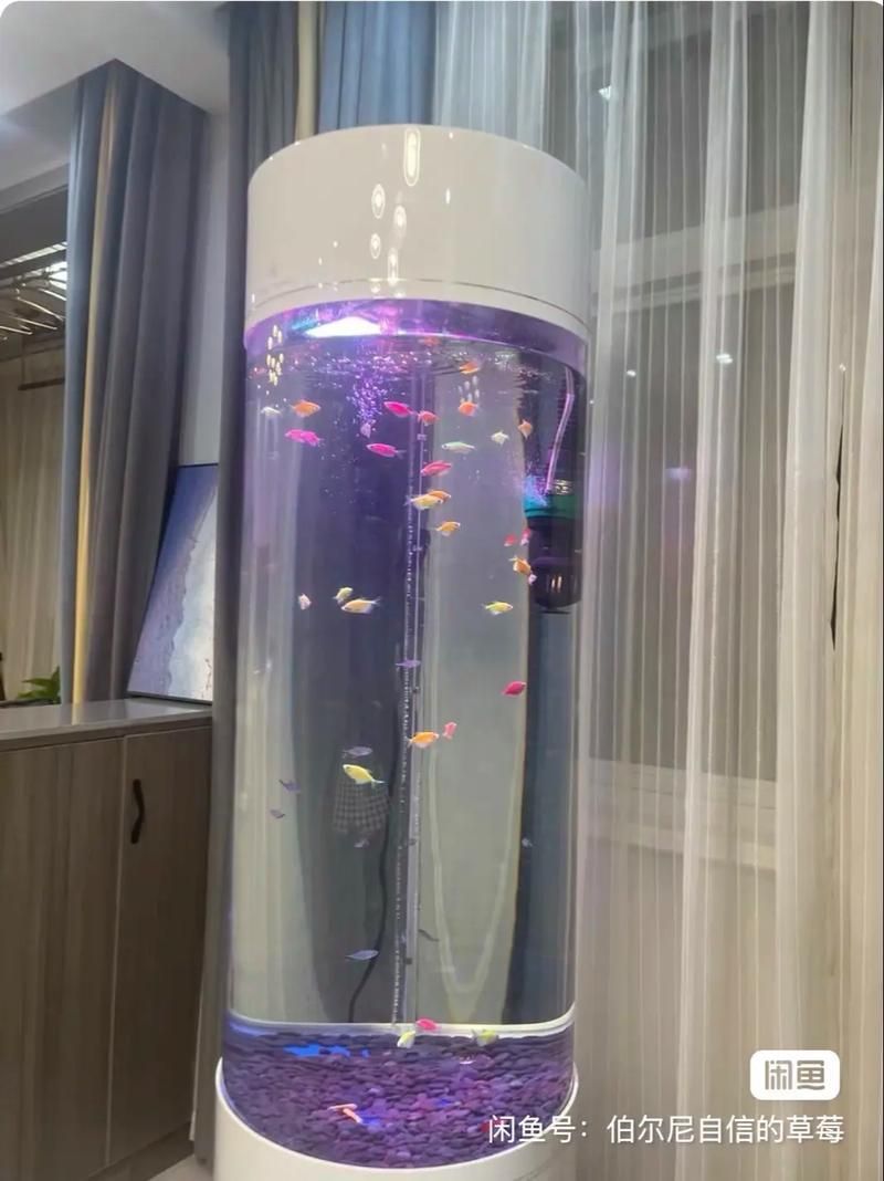 有哪些高端魚(yú)缸品牌推薦？，中國(guó)高端水族箱品牌推薦：魚(yú)缸品牌推薦 有哪些高端魚(yú)缸品牌推薦？，中國(guó)高端水族箱品牌推薦：魚(yú)缸品牌推薦 龍魚(yú)百科 第20張
