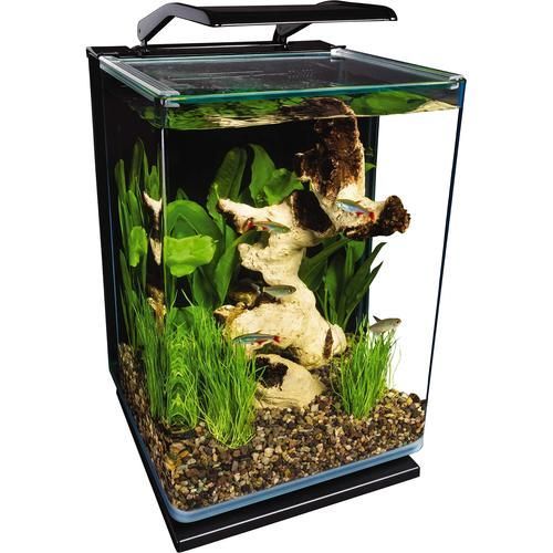 有哪些高端魚(yú)缸品牌推薦？，中國(guó)高端水族箱品牌推薦：魚(yú)缸品牌推薦 有哪些高端魚(yú)缸品牌推薦？，中國(guó)高端水族箱品牌推薦：魚(yú)缸品牌推薦 龍魚(yú)百科 第8張