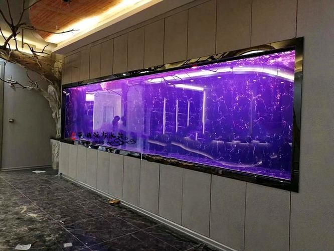 有哪些高端魚(yú)缸品牌推薦？，中國(guó)高端水族箱品牌推薦：魚(yú)缸品牌推薦 有哪些高端魚(yú)缸品牌推薦？，中國(guó)高端水族箱品牌推薦：魚(yú)缸品牌推薦 龍魚(yú)百科 第12張