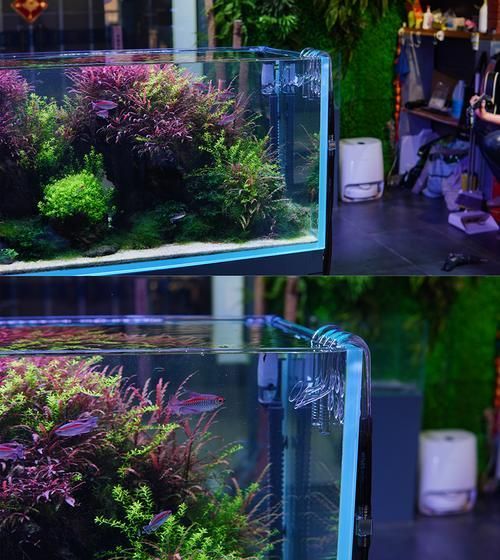 有哪些高端魚(yú)缸品牌推薦？，中國(guó)高端水族箱品牌推薦：魚(yú)缸品牌推薦 有哪些高端魚(yú)缸品牌推薦？，中國(guó)高端水族箱品牌推薦：魚(yú)缸品牌推薦 龍魚(yú)百科 第4張