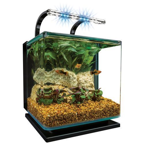 有哪些高端魚(yú)缸品牌推薦？，中國(guó)高端水族箱品牌推薦：魚(yú)缸品牌推薦 有哪些高端魚(yú)缸品牌推薦？，中國(guó)高端水族箱品牌推薦：魚(yú)缸品牌推薦 龍魚(yú)百科 第7張