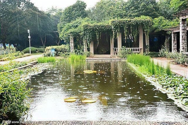 如何調整魚缸的pH值？，北方魚缸ph值調整方法 如何調整魚缸的pH值？，北方魚缸ph值調整方法 龍魚百科 第9張