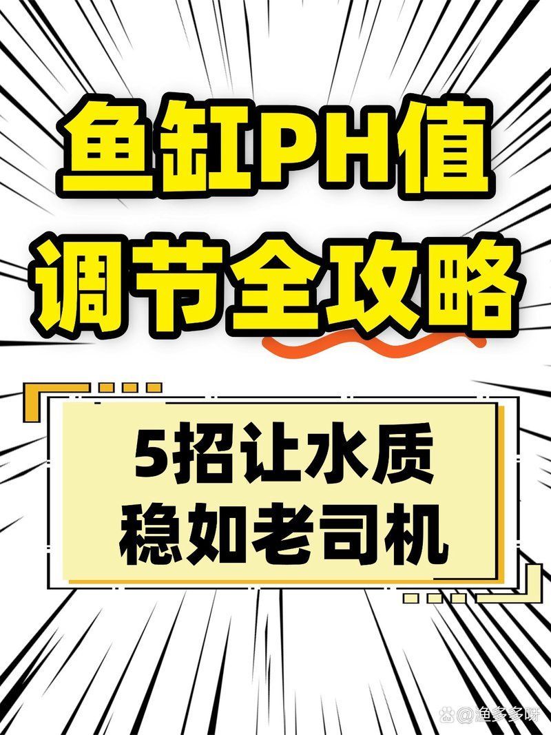 如何調整魚缸的pH值？，北方魚缸ph值調整方法 如何調整魚缸的pH值？，北方魚缸ph值調整方法 龍魚百科 第10張