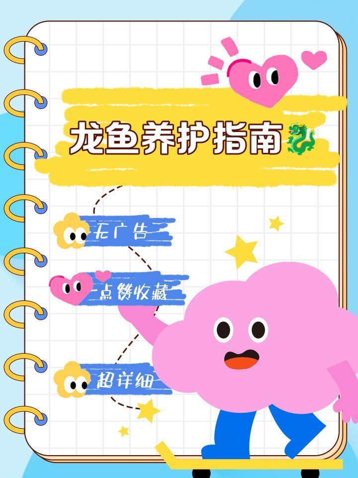 給我一些關于龍魚飼養的注意事項，關于龍魚飼養的注意事項