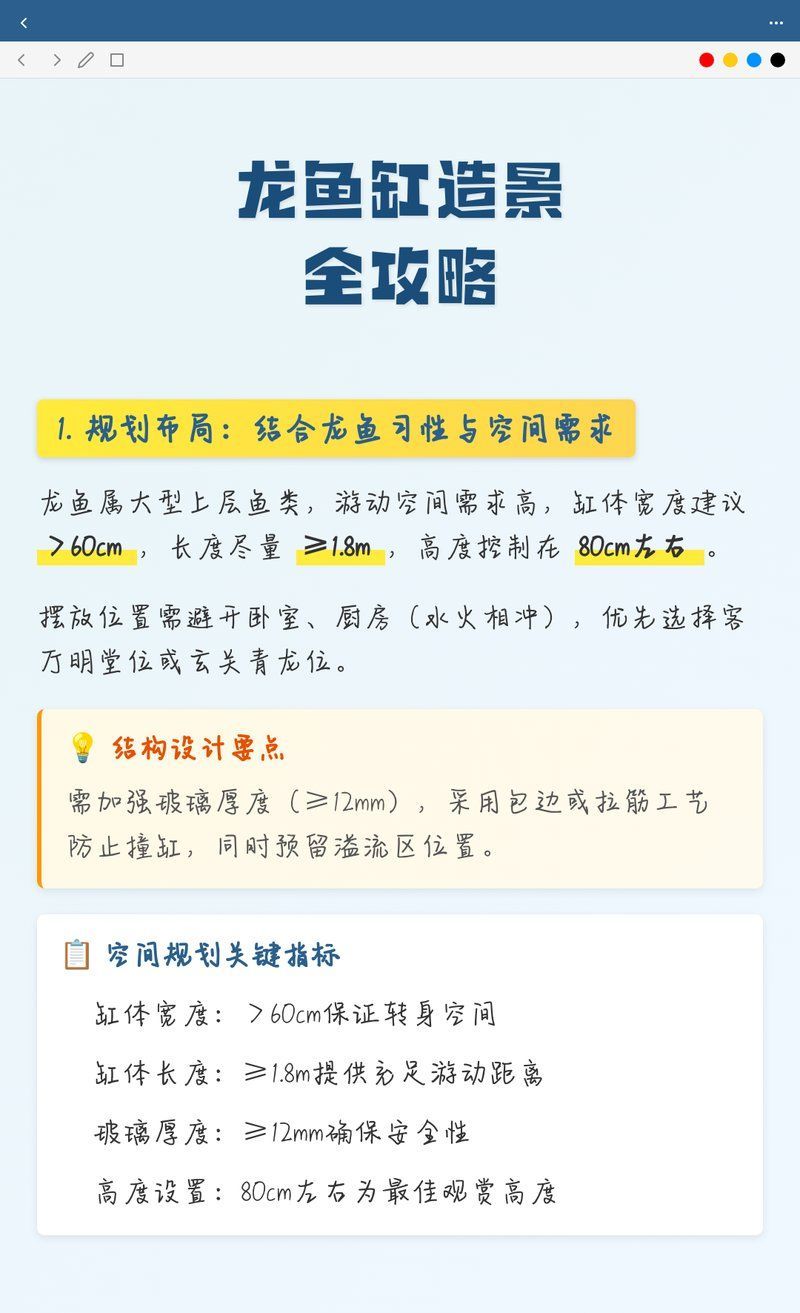 給我一些關于龍魚飼養的注意事項，關于龍魚飼養的注意事項