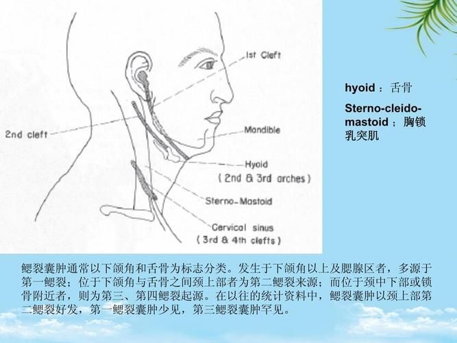 鰓部疾病如何治療才有效，耳鼻喉科專家有耳鼻喉科專家有耳鼻喉科專家搜索服務 鰓部疾病如何治療才有效，耳鼻喉科專家有耳鼻喉科專家有耳鼻喉科專家搜索服務 龍魚百科 第5張