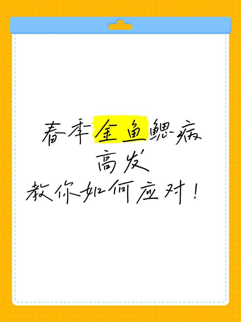 鰓霉病和蟲鰓的發病季節，春季金魚鰓病預防與治療 鰓霉病和蟲鰓的發病季節，春季金魚鰓病預防與治療 龍魚百科 第1張