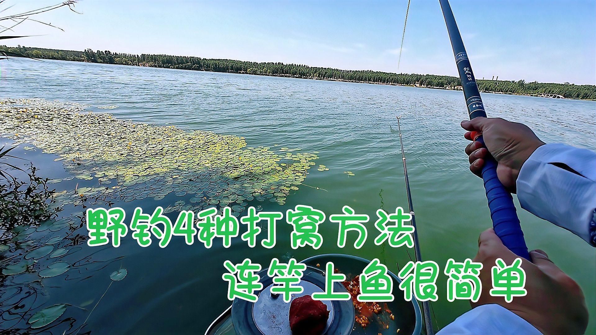 觀魚釣魚有哪些常見誤區，釣魚的誤區你知道多少 觀魚釣魚有哪些常見誤區，釣魚的誤區你知道多少 龍魚百科 第1張