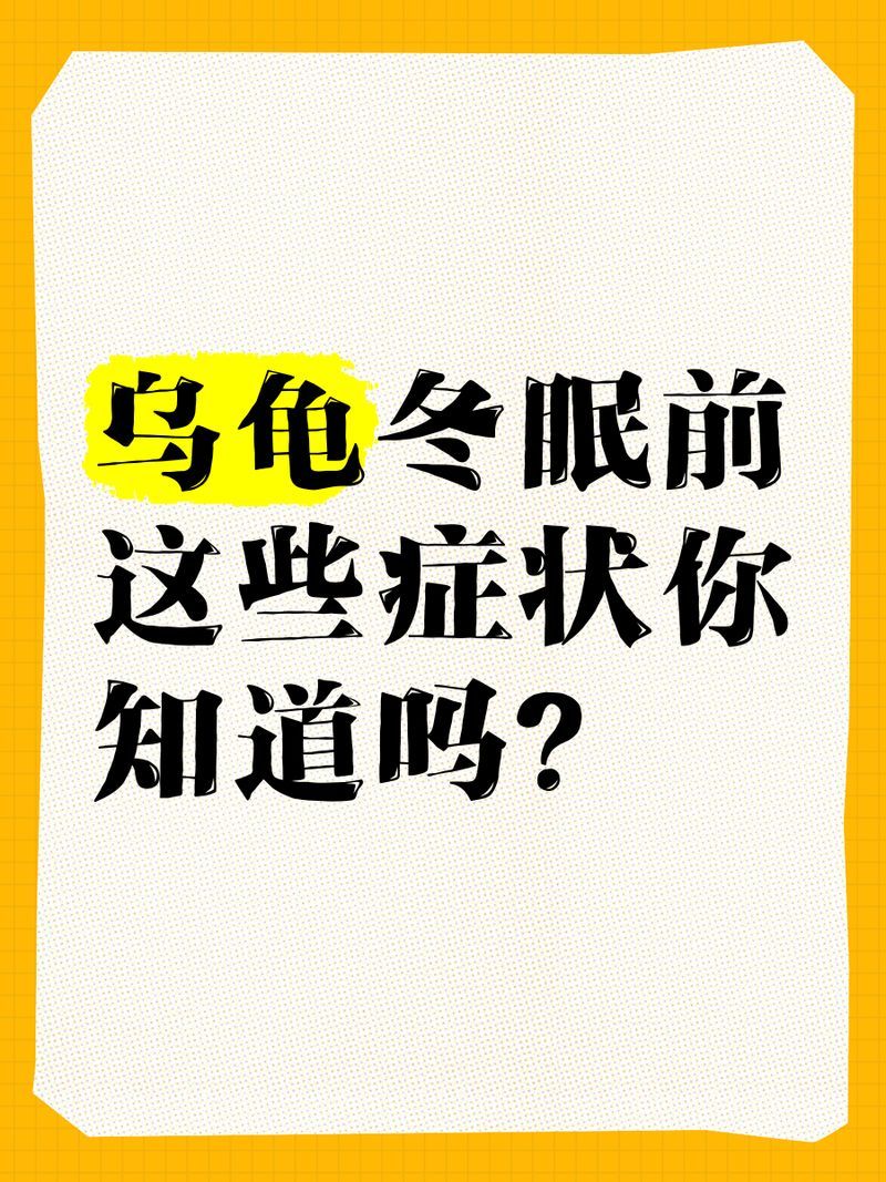 如何判斷烏龜是否需要冬眠，烏龜冬眠前這些癥狀你知道嗎 如何判斷烏龜是否需要冬眠，烏龜冬眠前這些癥狀你知道嗎 龍魚百科 第1張